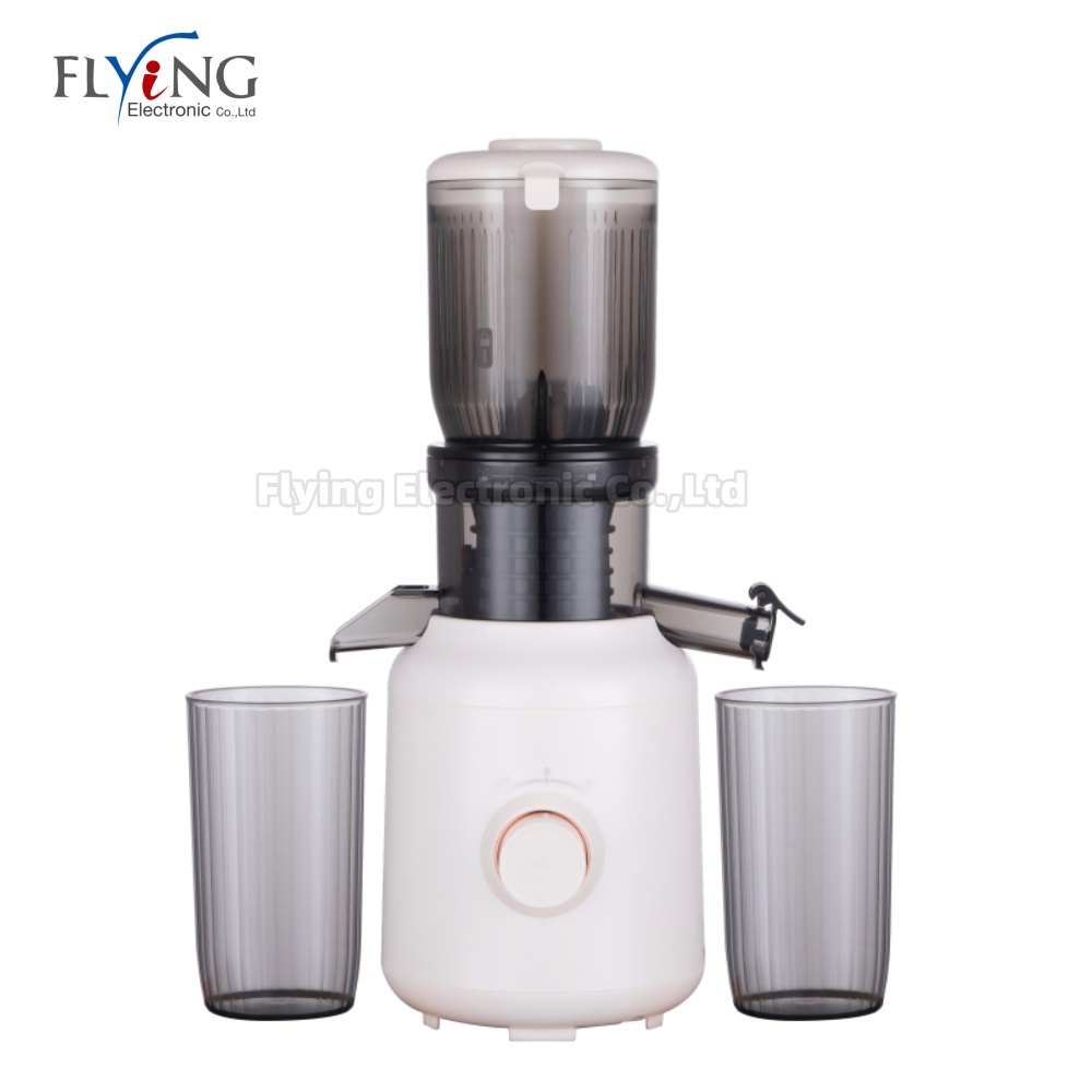 Slow Juicer for Fruits and Vegetables | Cold Press Extraction | High Juice Yield