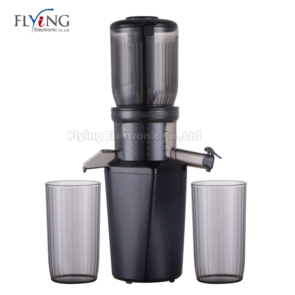 Vertical Slow Juicer | Compact Design | High Efficiency